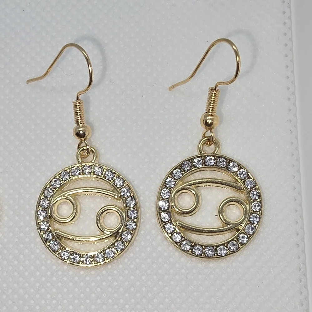Zodiac Sign Hook Earrings! Hypo-Allergenic Handmade Gold Color with Cubic Zircon